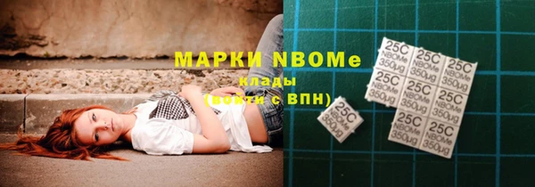 шишки Алексин