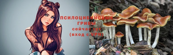 меф Алзамай