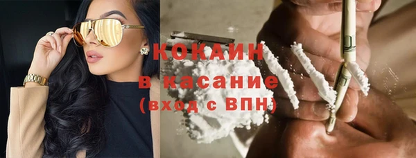 шишки Алексин