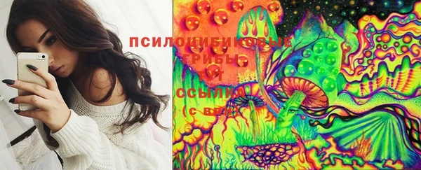 шишки Алексин