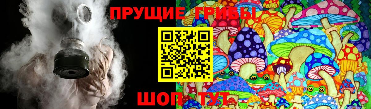 Псилоцибиновые грибы GOLDEN TEACHER Мичуринск