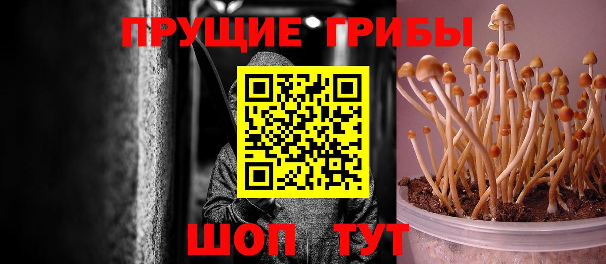 закладка  Вход с VPN  Мичуринск  Галлюциногенные грибы MAGIC MUSHROOMS 