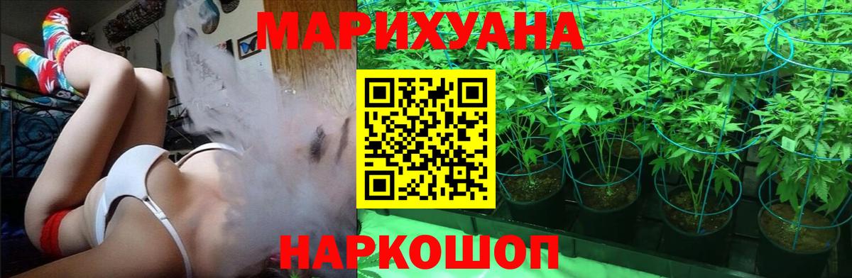 Конопля гибрид Мичуринск